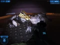 Brute Chieftain
