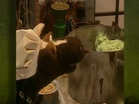 Folge2556-4