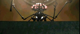 A-anim.279.jpg