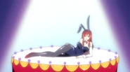 Erza bunny suit