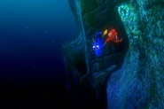 Findingnemo0418