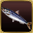 Sardine