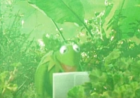 Yoda-kermit