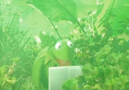 Yoda-kermit