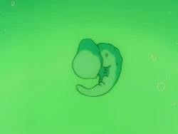 CellLarvalFormEp145