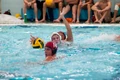 Blackman 20100828 4690.jpg