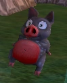 Brave Piggle