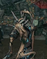 Undead ned trap.png