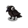 Black Raven
