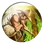 Agriculture (Civ5)