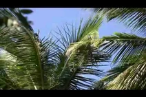 IMG 0367