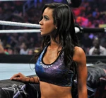 AJ Lee 20