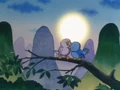 BirdCouple