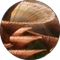 MainBanner-Flora.png