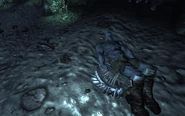 Oh baby nightkin