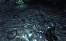 Oh baby nightkin