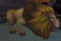 Akhet Lion.jpg