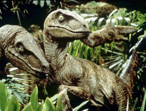 http://images1.wikia.nocookie.net/__cb20101028183342/villains/images/9/97/JP-Velociraptors.jpg