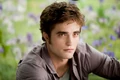 ILoveEdwardCullen-01.png