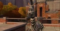 Zebra 1.jpg