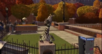Zebra 3