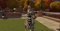 Zebra 2.jpg
