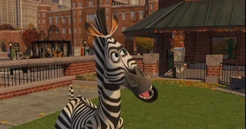 Zebra 9