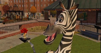 Zebra 8