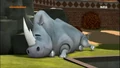Rhinoceros 1.jpg