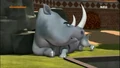 Rhinoceros 2.jpg