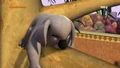 Koala 5.jpg