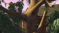 Koala 6.jpg
