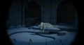 Polar Bear 1.jpg