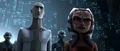 Almec und Ahsoka.jpg