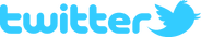 Twitter logo with bird
