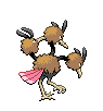 Dodrio espalda G5