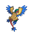 Archeops espalda G5