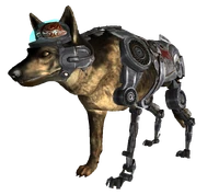 FNVRex