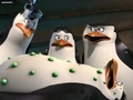 Rico poisoned.jpg