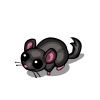 Black Chinchilla-icon.png