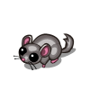 Grey Chinchilla-icon.png