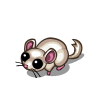 White Chinchilla-icon.png