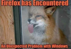 Ff-windows