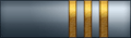 Sleeve insignia.