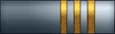 Sleeve insignia.
