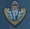 EPFAgent