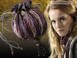 Hermione bag