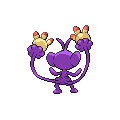 Ambipom espalda G5 hembra