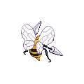 Beedrill espalda G5