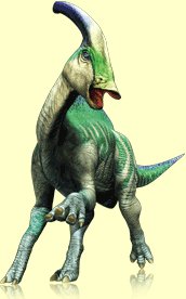 Dinossauro Rei, Wiki